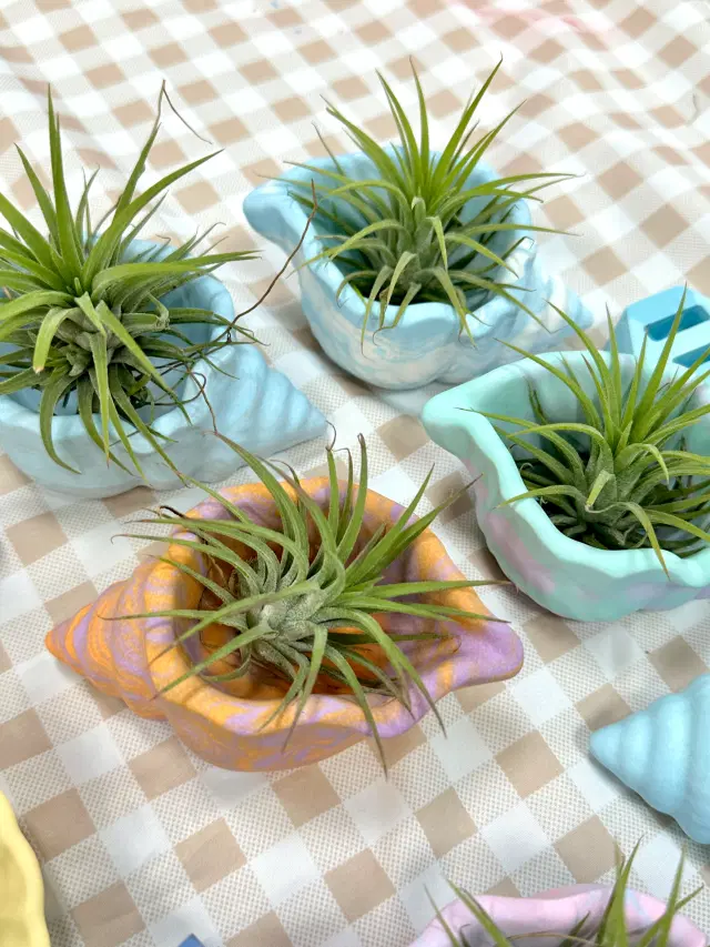 친환경 소라화분 만들기