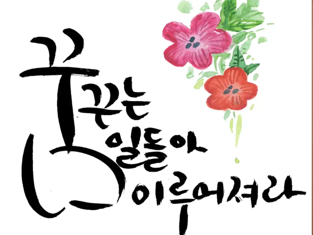 캘리야 놀자