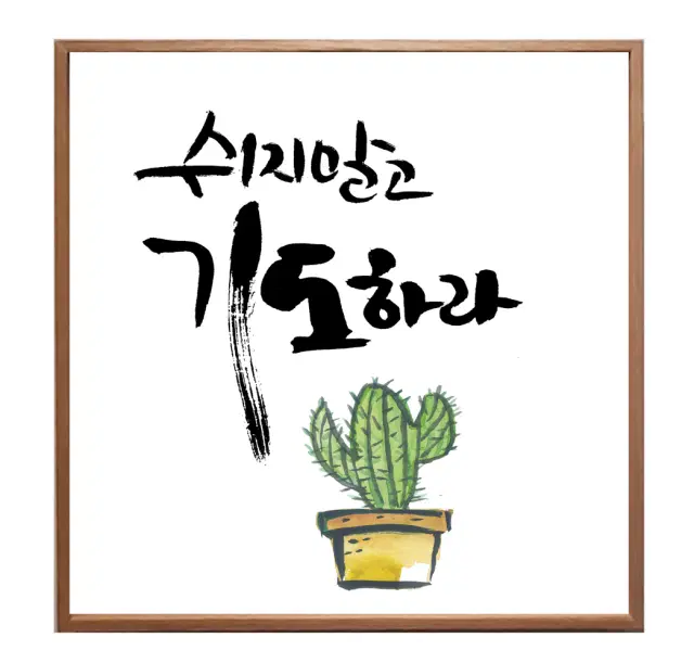 캘리야 놀자