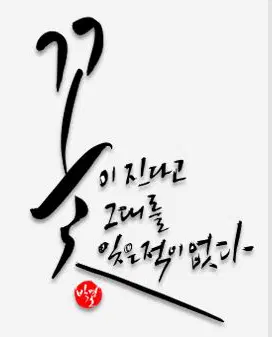 캘리야 놀자