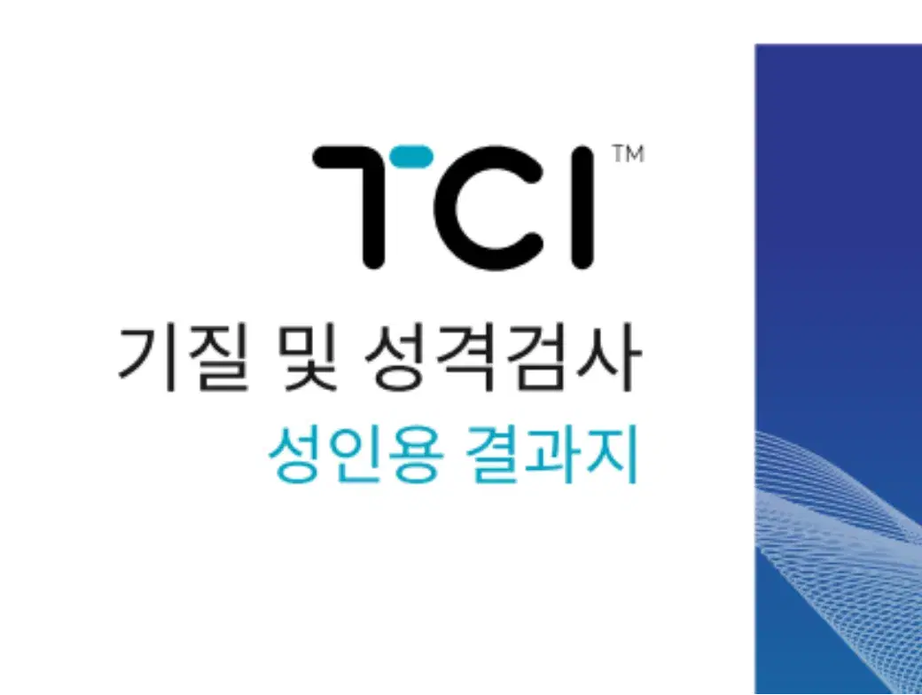 TCI 성격검사 자기이해