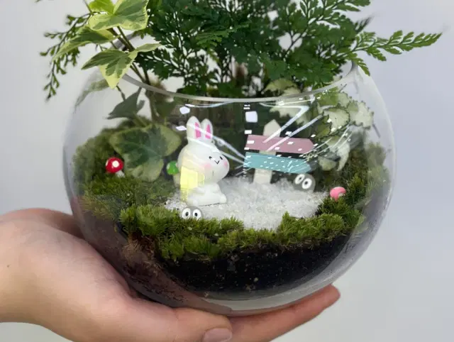 나만의 반려식물,테라리움