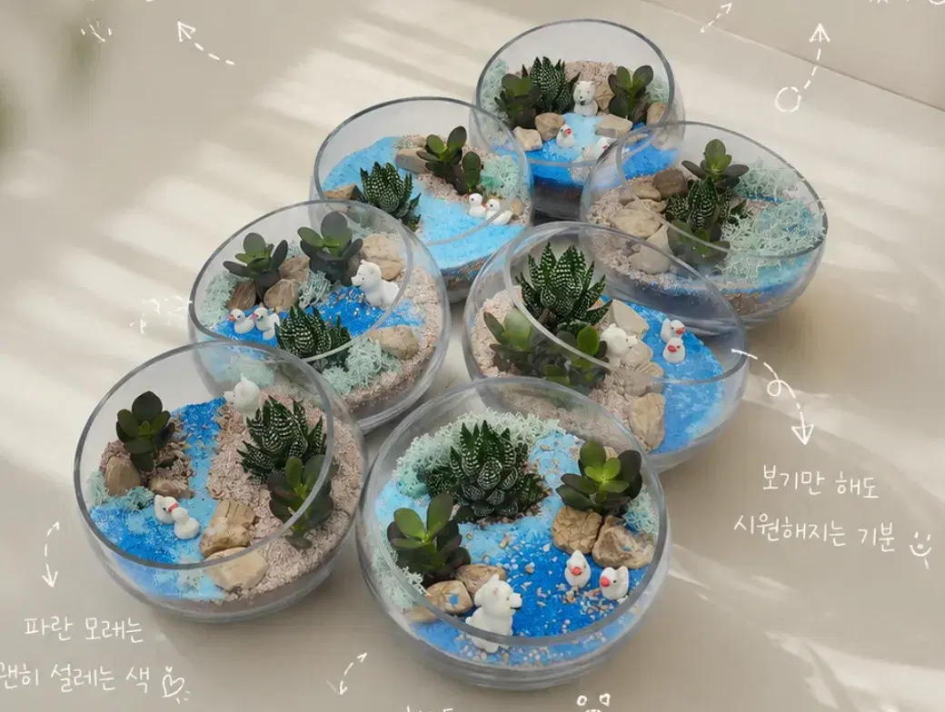 책상 위 작은 바다 테라리움