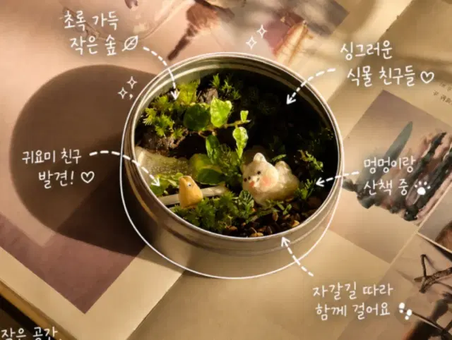 감성공예테라리움클래스