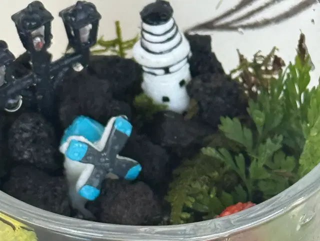 아로마 힐링 테라리윰