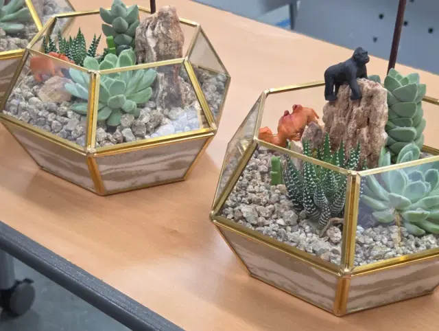 힐링 테라리움 만들기