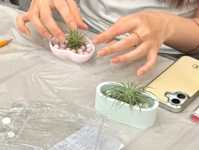 힐링+체험 초록 식물 꾸미기