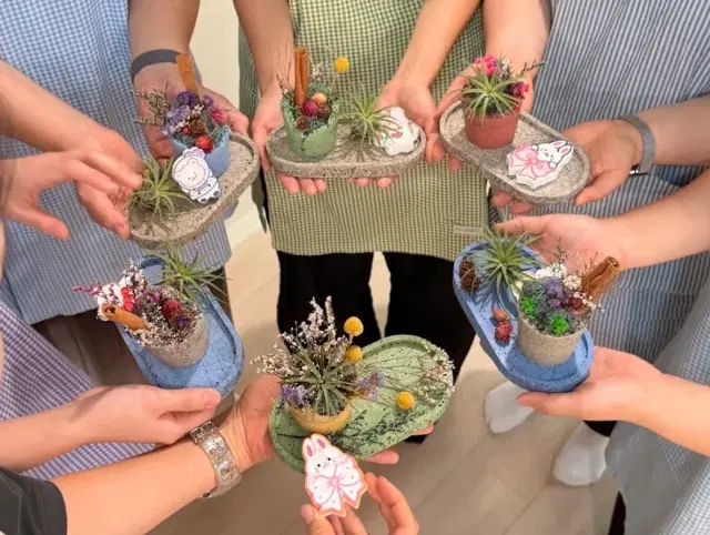 발포세라믹 화분+트레이SET