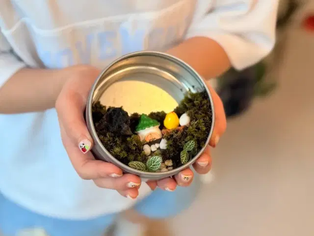 마그넷 테라리움